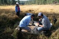 decorative image of field work with a meadow sediment core
